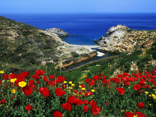 45454 (a): :1600x1200
